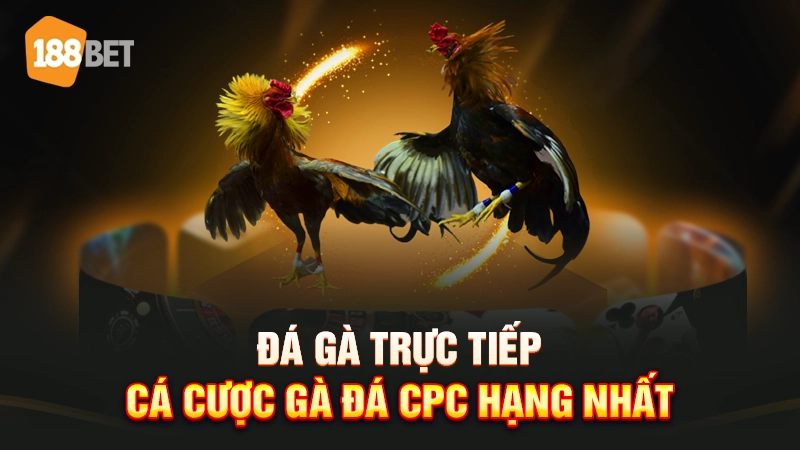 188bet 27 Đá gà trực tiếp 188BET